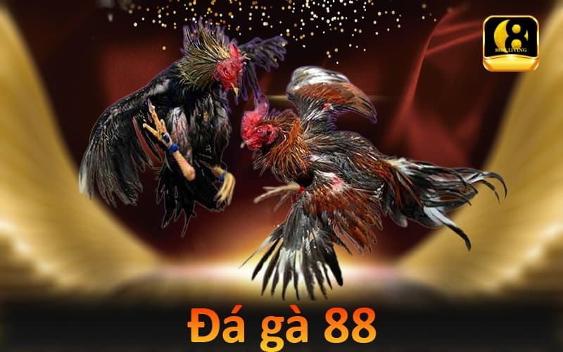 Đá gà 88