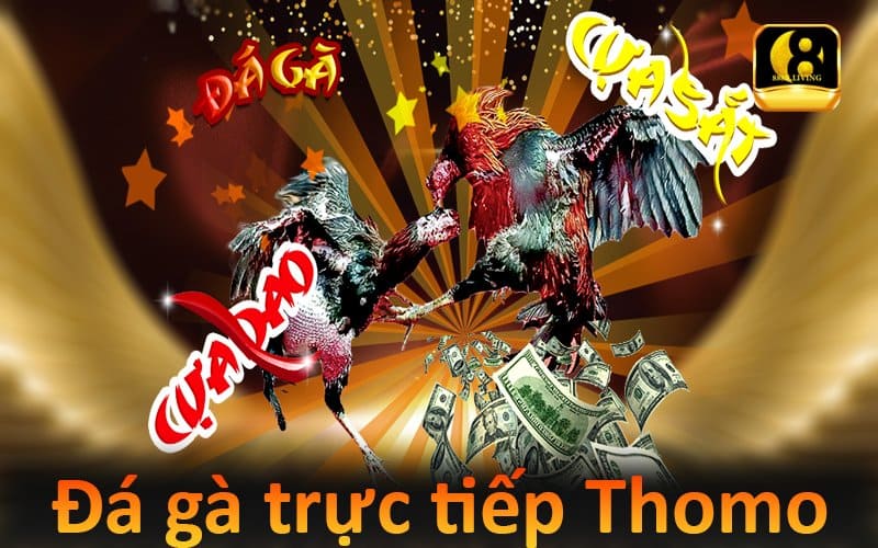 Đá gà trực tiếp Thomo